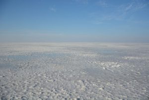 6_White Rann (1)